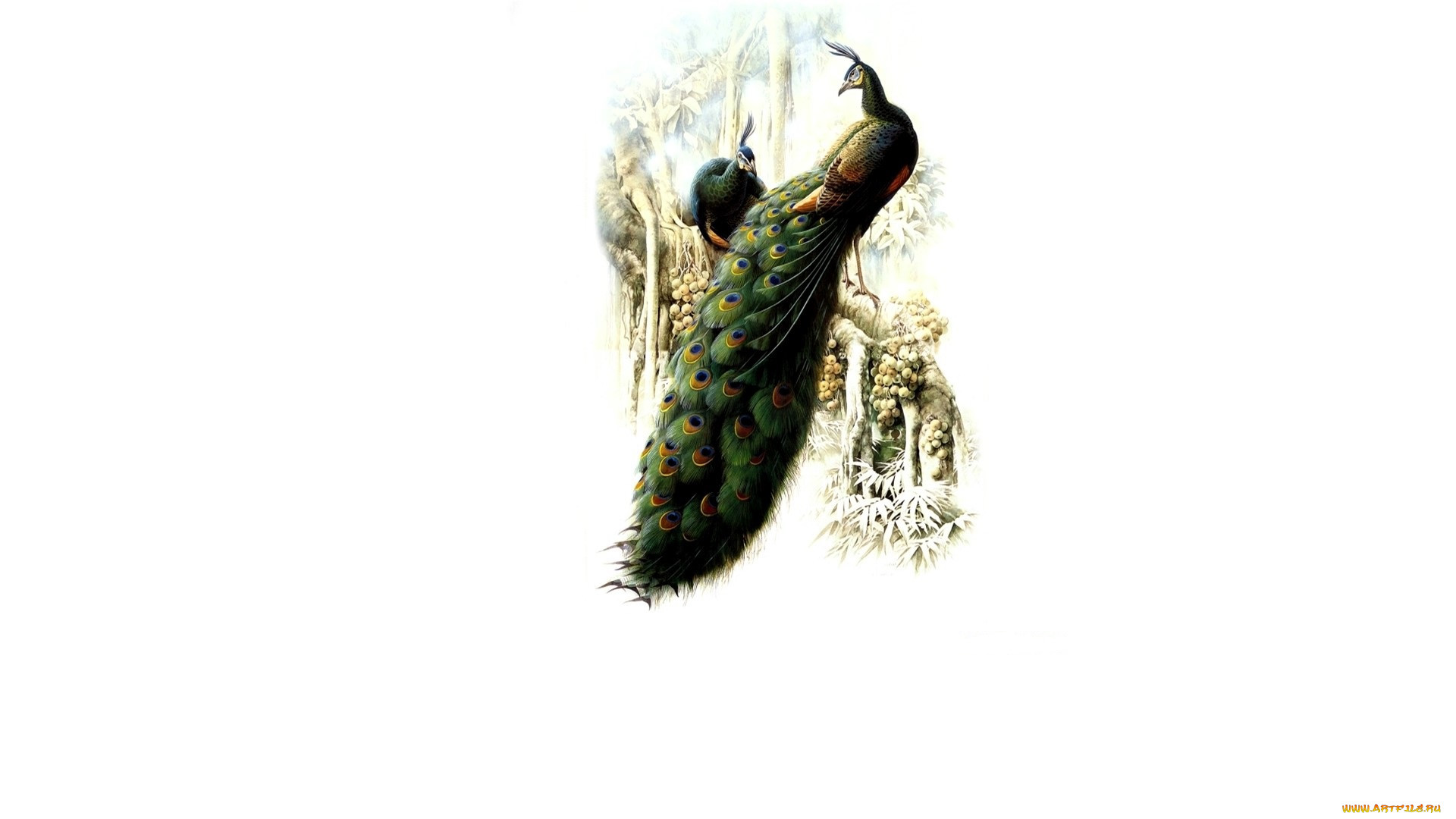 , ,  ,  , , , 